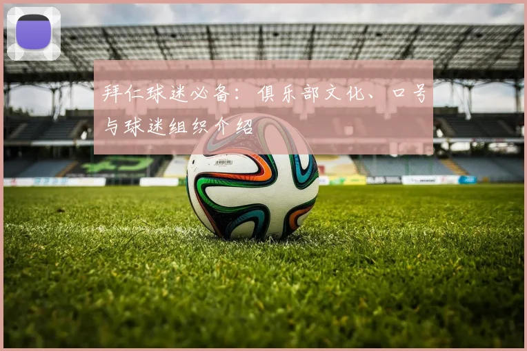 拜仁球迷必备：俱乐部文化、口号与球迷组织介绍