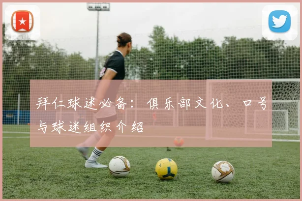 拜仁球迷必备：俱乐部文化、口号与球迷组织介绍