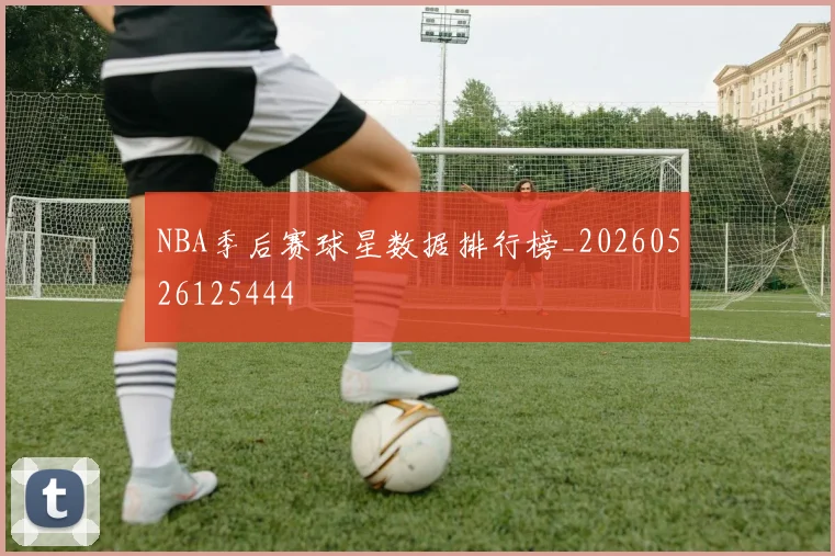 NBA季后赛球星数据排行榜_20260526125444
